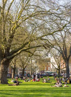 Fulham Area Image