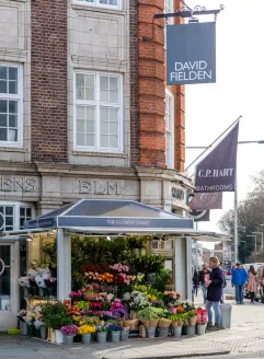 Chelsea Area Image